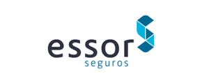 essor-1-300x119